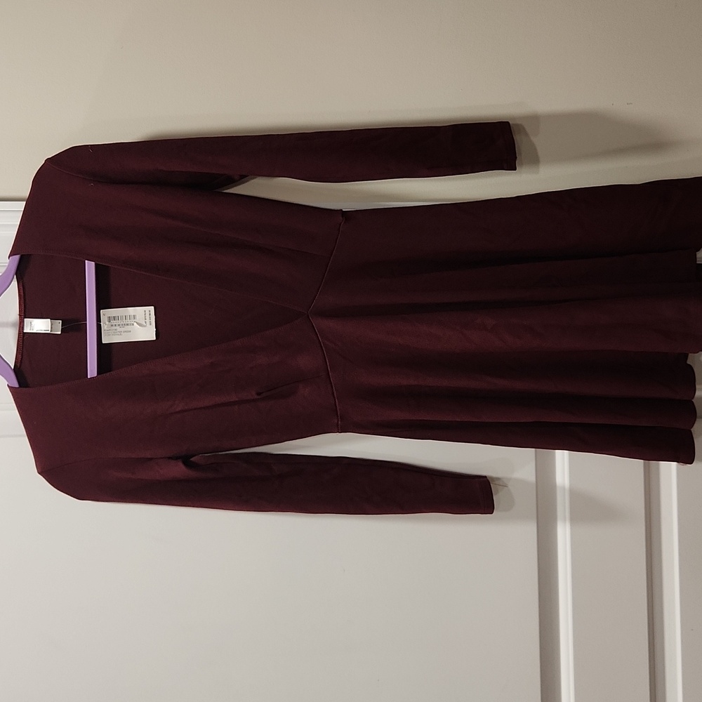 American Apparel Deep Burgundy Women's Dress